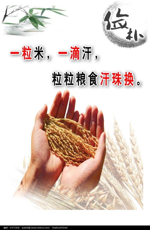 发展银行余额明细图做假的